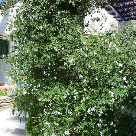 Porto Vlastos Agios Ioannis  Buitenkant foto