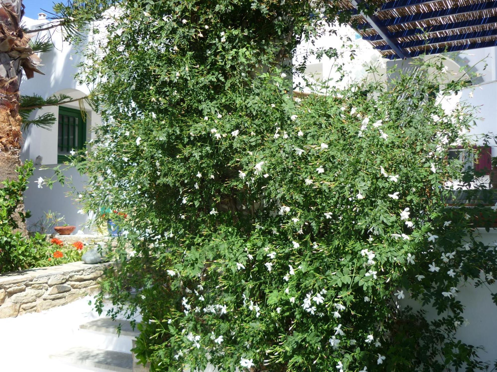 Porto Vlastos Agios Ioannis  Buitenkant foto